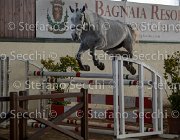 Clara del Buttasella TosTour2013- S5 3065 : Arezzo, Arezzo Equestrian Centre, Cavalli d'Italia, Clara del Buttasella, Toscana Tour 2013, foto di Stefano Secchi ©